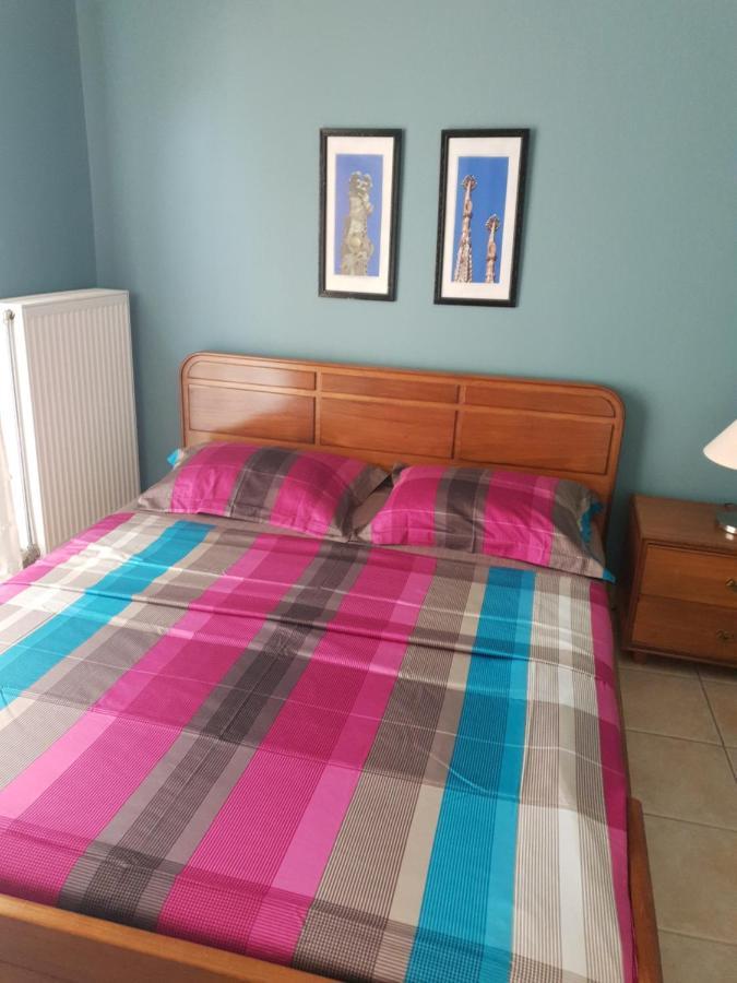 Comfortable Apartment In The Center Of Volos Very Close To The Port 外观 照片